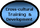 intercultural communication training